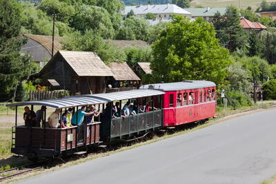 LH5 6890
